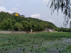 -北山公园