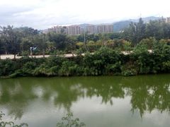 -勐旺傣香园