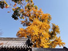 -潭柘寺景区