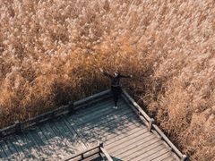 -野鸭湖国家湿地公园