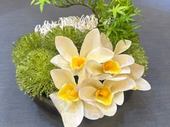 -丰收日(五角场店)