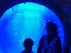 -华夏文旅西安度假区