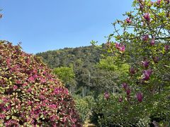 -虞山风景区