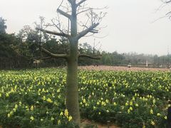 -清远熹乐谷温泉度假酒店