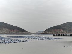 -南麂列岛