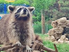 -石家庄市动物园