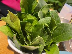 -青瓷火锅料理(西单大悦城店)