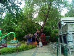 -哈尔滨文化公园