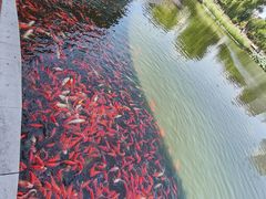 -西海子公园