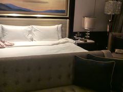 -长沙富力万达文华酒店