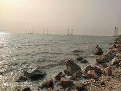 -宝安西湾红树林湿地公园