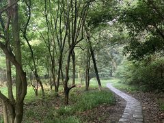 -灵谷景区