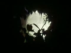 -Miette制菓所