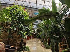 -北镇龙岗子生态园