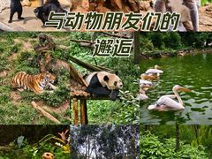 -云南野生动物园