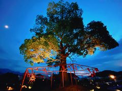 -明月山天沐温泉度假村