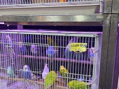 -宠爱我(南山店)