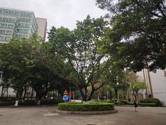 -广东金融学院(校本部)