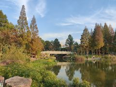 -宁波儿童公园(鄞州区)