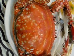 -雅逸居海鲜小厨