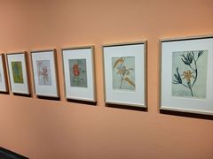 -江苏省美术馆(长江路新馆)