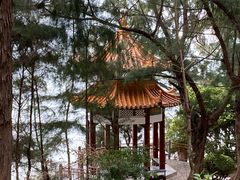 -宋井风景区