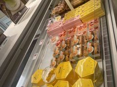 -蒲公英(五里店)