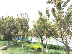 -西安汉城湖景区