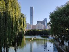 -团结湖公园