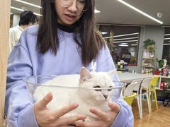 -莱姆星桌游·拼豆·团建