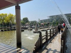 -石家庄市植物园