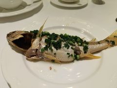 -福1015(愚园路店)