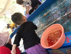 -萌宠亲子动物乐园(槐房万达店)