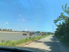 -樂桃源奉贤黄桃种植采摘基地