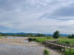 -野鸭湖国家湿地公园
