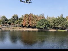 -畔山酒店中餐厅
