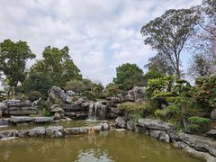 -东莞植物园