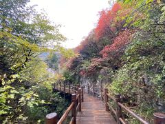 -黄花溪