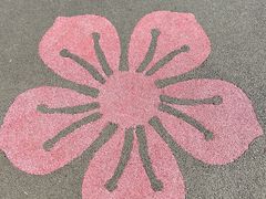 -洲头咀公园