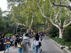 -杭州黄龙洞