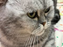 -美联众合动物医院·24h京西诊疗中心