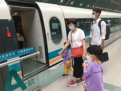 -龙阳路磁悬浮列车总站-停车场