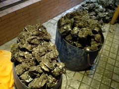 -濠轩阁特色生蚝火锅(水湾路店)