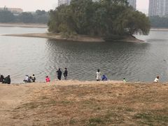 -长白岛森林公园