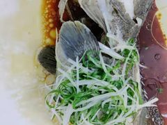 -锦粤宫·精致粤菜(深圳北站店)