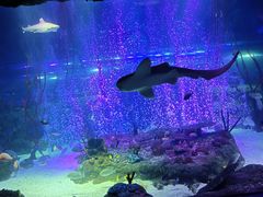 -沈阳海洋探索中心