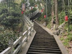 -龙井村