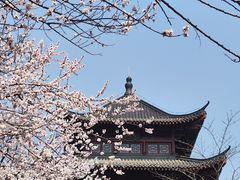 -堤角公园