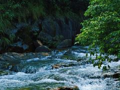 -广州白江湖森林公园