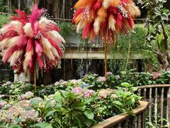 -正佳雨林生态植物园
